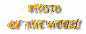 Photo of the week